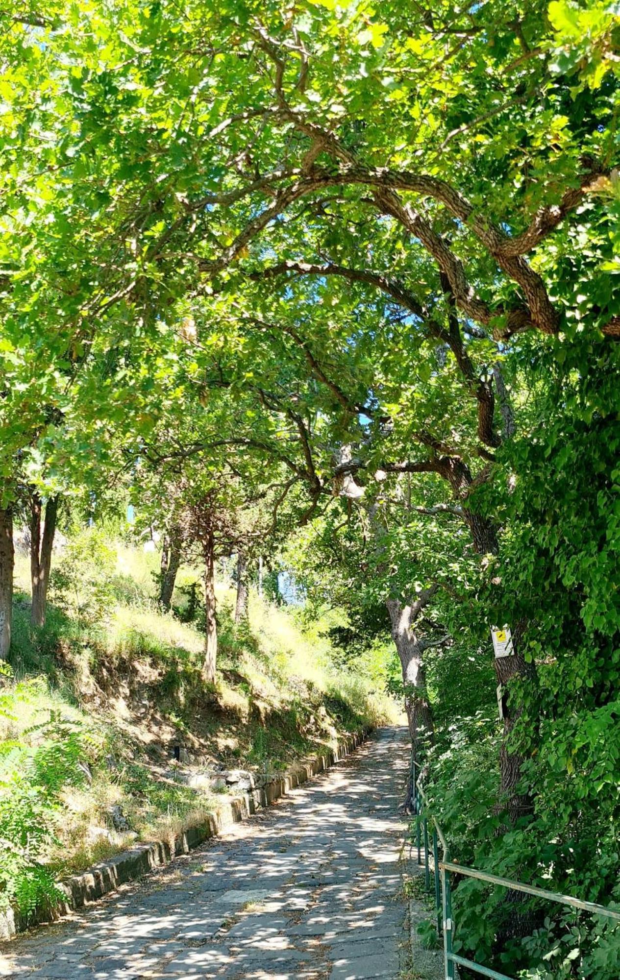 Villa Blu Costiera Amalfi Bagian luar foto